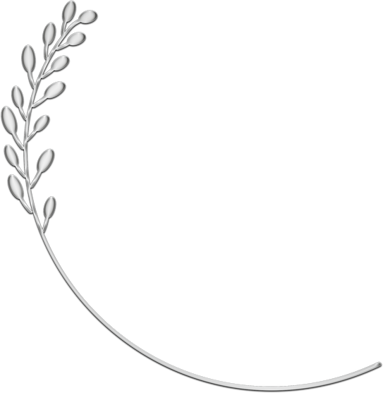 Herb Plant Illustration