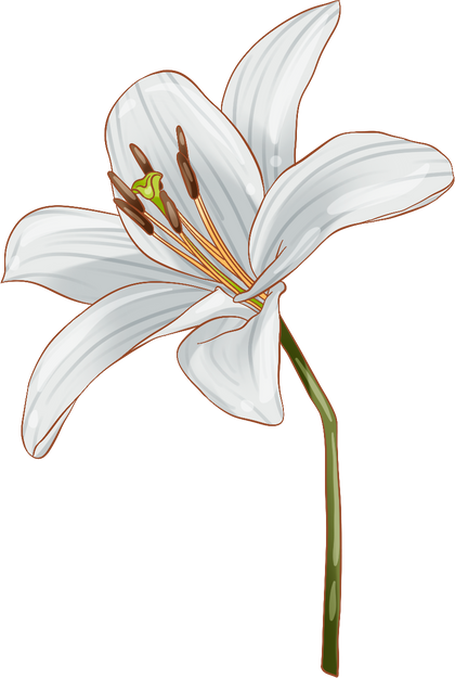 Indonesia Anime Style Lily